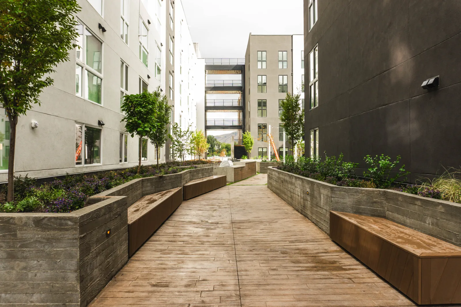 A walkable public street at Post House beside distinct residential and shared outdoor spaces